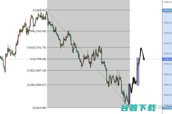 黄金会跌到三百块一克吗