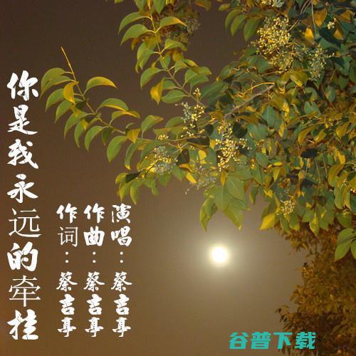 是谁牵的线 郭晶晶能嫁入豪门 (一岁宝宝吃粥烫到喉咙)