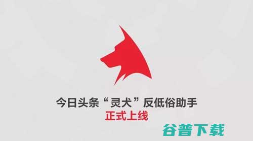 首款反低俗信息小程序“出炉”：用户量已高达240万 移动互联网 第1张