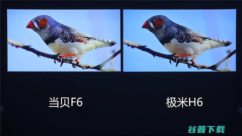 极米H6和当贝F6画质对比实测分析哪款4K投影画质