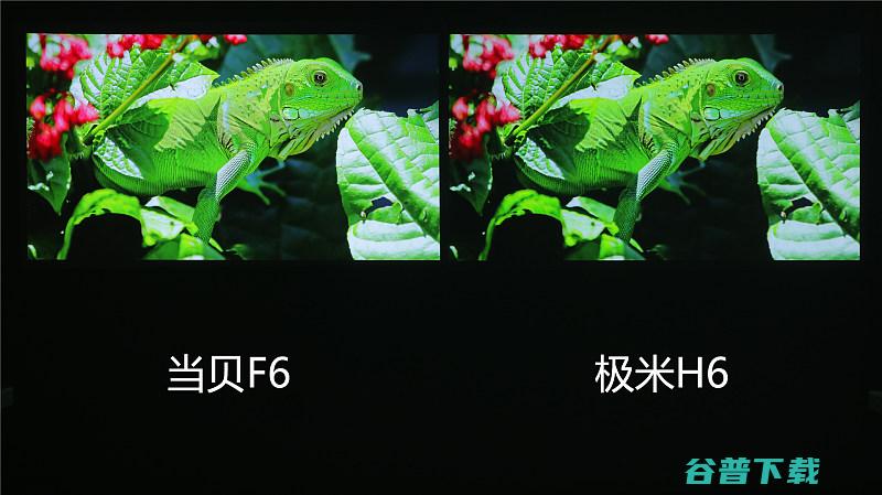 极米H6和当贝F6画质对比实测分析哪款4K投影画质