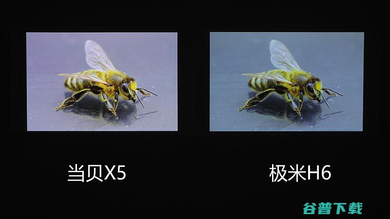 实测当贝X5和哪款画面好当贝X5和极米