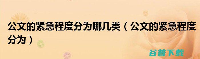 公文有几类几种分别是 (公文几类几种)