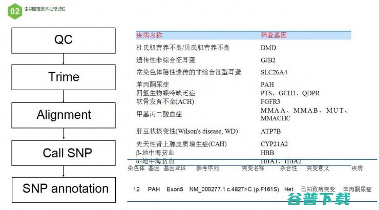 如何用云计算模式，实现生物信息分析 | 雷锋网公开课