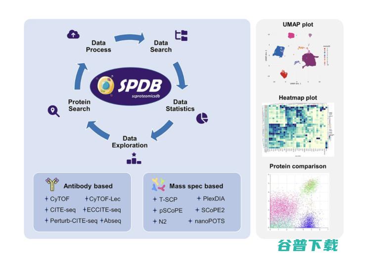 专访腾讯AI Lab姚建华、杨帆：腾讯 AI Lab 为何瞄准单细胞蛋白质组学？