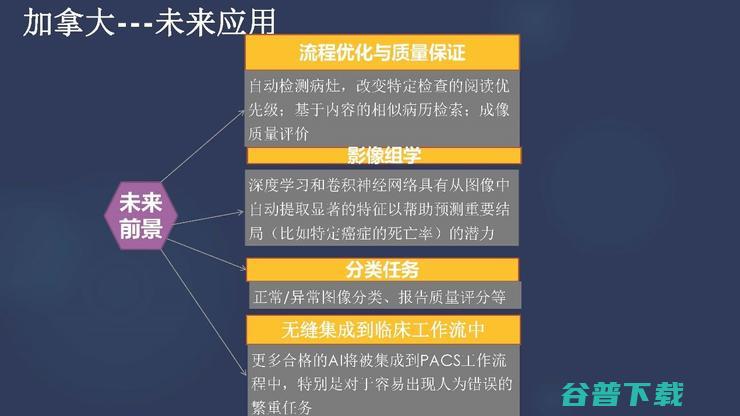 吉大一院放射科主任张惠茅：中外医学影像 AI 的进展对比