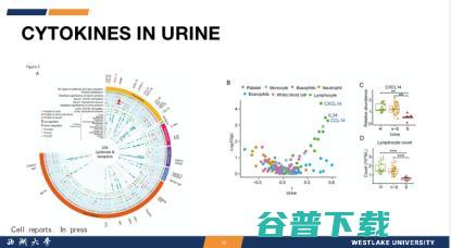 西湖大学郭天南：从「元宇宙」视角，探秘组大数据