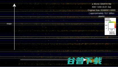 西湖大学郭天南：从「元宇宙」视角，探秘组大数据