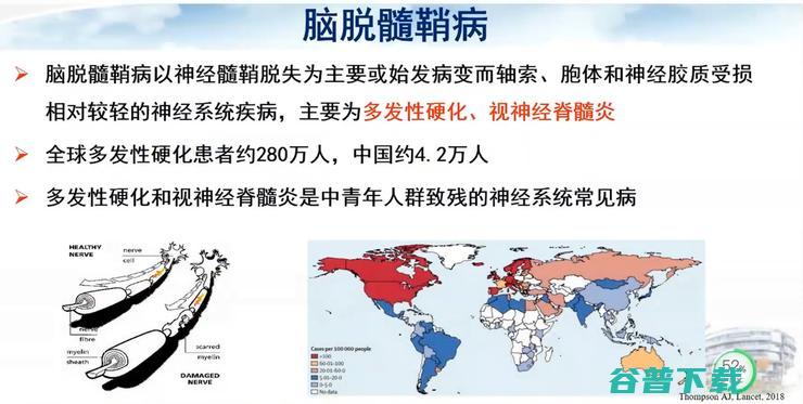 有哪些应用 AI在脑脱髓鞘病MRI中 2022 首都医科大学宣武医院副院长卢洁教授 CMAI (有哪些应用app)