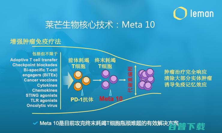 莱芒生物获近亿元天使轮融资 AI赋能创新肿瘤免疫疗法 免疫代谢重编程 (莱芒湖简介)