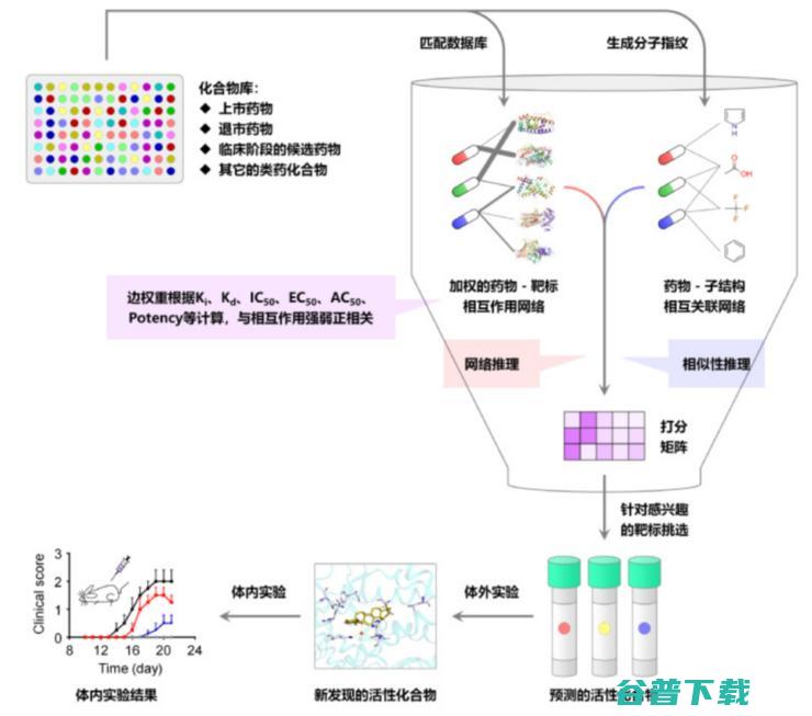 药物研发最忌急功近利 行业还需大浪淘沙 华东理工大学唐赟 (药物研发最忌讳的问题)