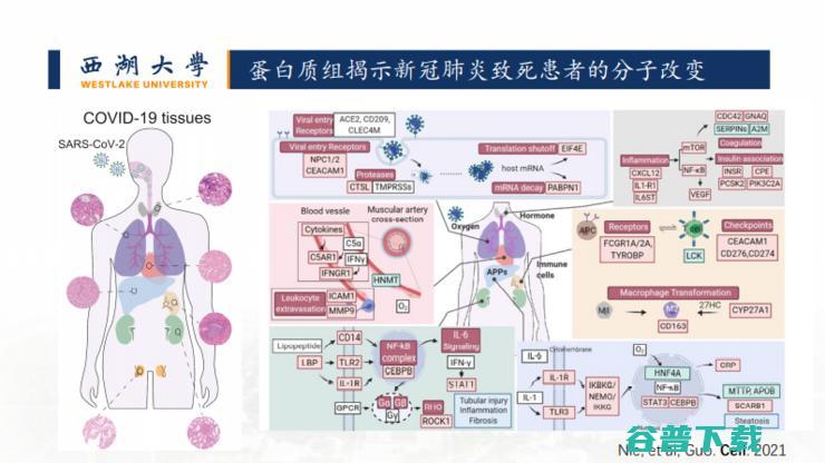 新药开发、疾病判别...我们还是低估了「AI+蛋白质组学」的威力