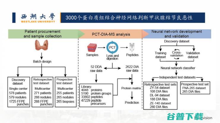 新药开发、疾病判别...我们还是低估了「AI+蛋白质组学」的威力