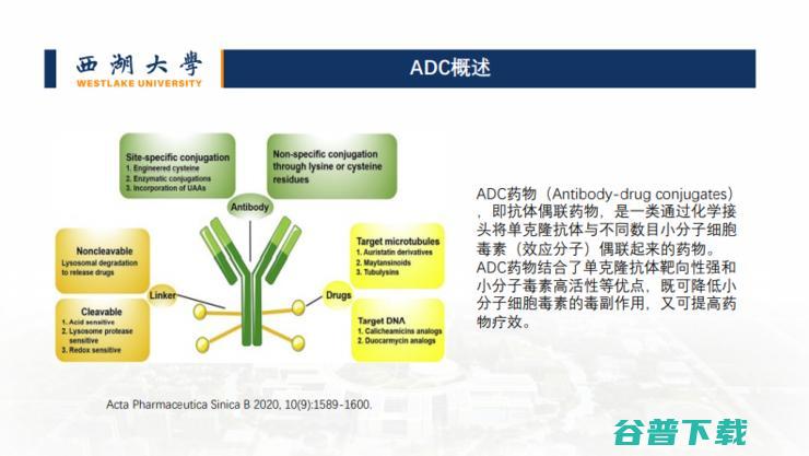 新药开发、疾病判别...我们还是低估了「AI+蛋白质组学」的威力