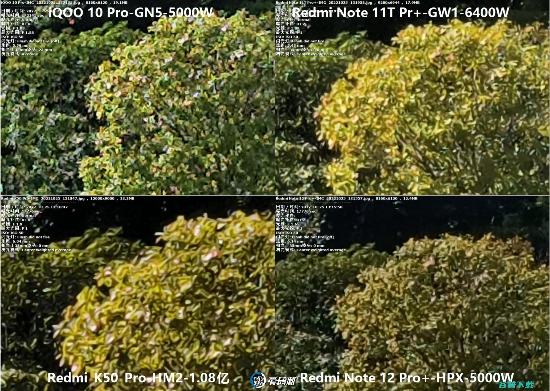 2亿像素拍照对比：Redmi Note 12 Pro+对战K50 Pro、 10 Pro