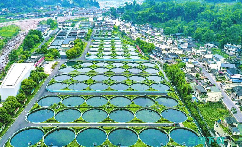 加盟田坤道生态大米粮油品牌流程