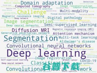 医学影像 AI 的 20 年「大变局」| 万字长文