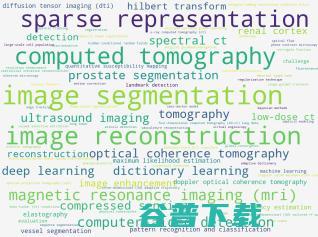 医学影像 AI 的 20 年「大变局」| 万字长文