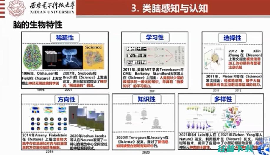 焦李成院士：进化优化与深度学习的思考