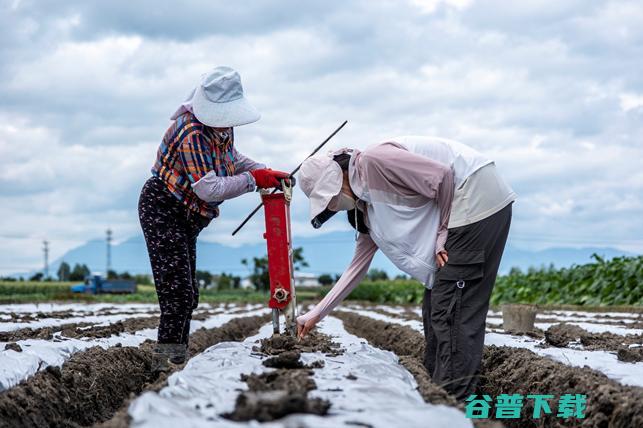 “多多课堂”为科技小院开展电商公益培训：好科研要上书架和货架