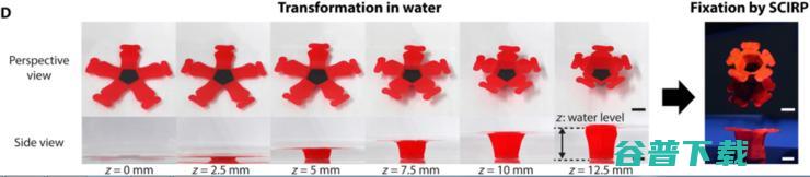 韩国科学家要用这支马克笔，送你一朵 3D 打印小红花