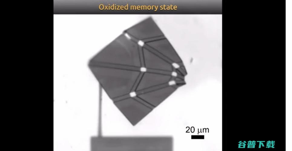 安上新型纳米级驱动器，「千纸鹤」100 毫秒完成自折叠 | Science 子刊封面