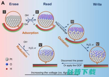 安上新型纳米级驱动器，「千纸鹤」100 毫秒完成自折叠 | Science 子刊封面