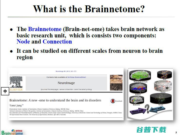 万字长文 | 中科院蒋田仔教授：脑网络组图谱及其在脑认知与脑疾病方面的应用