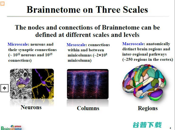 万字长文 | 中科院蒋田仔教授：脑网络组图谱及其在脑认知与脑疾病方面的应用