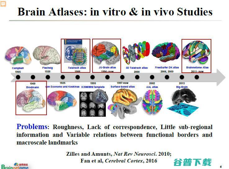 万字长文 | 中科院蒋田仔教授：脑网络组图谱及其在脑认知与脑疾病方面的应用