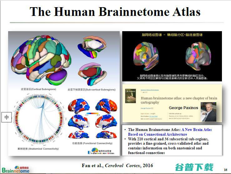 万字长文 | 中科院蒋田仔教授：脑网络组图谱及其在脑认知与脑疾病方面的应用