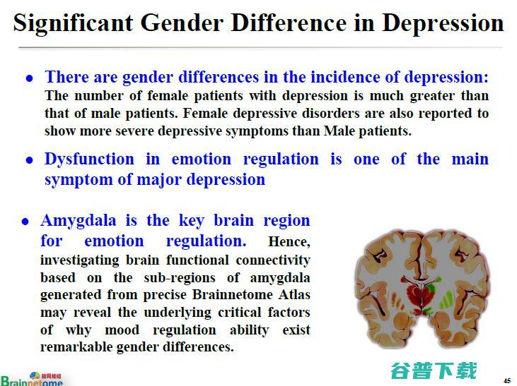 万字长文 | 中科院蒋田仔教授：脑网络组图谱及其在脑认知与脑疾病方面的应用