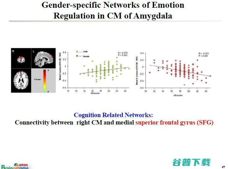 万字长文 | 中科院蒋田仔教授：脑网络组图谱及其在脑认知与脑疾病方面的应用