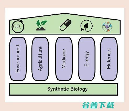 AI 与合成生物学「联姻」的五大挑战：技术、数据、算法、评估与社会学