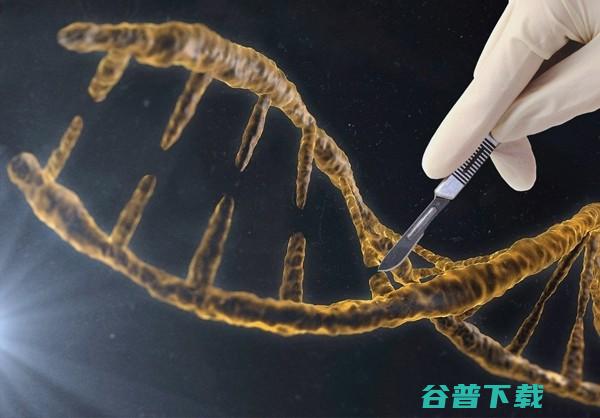 人类有望战胜癌症 科学家发现基因编辑运行机制 (人类有望战胜乳腺癌)