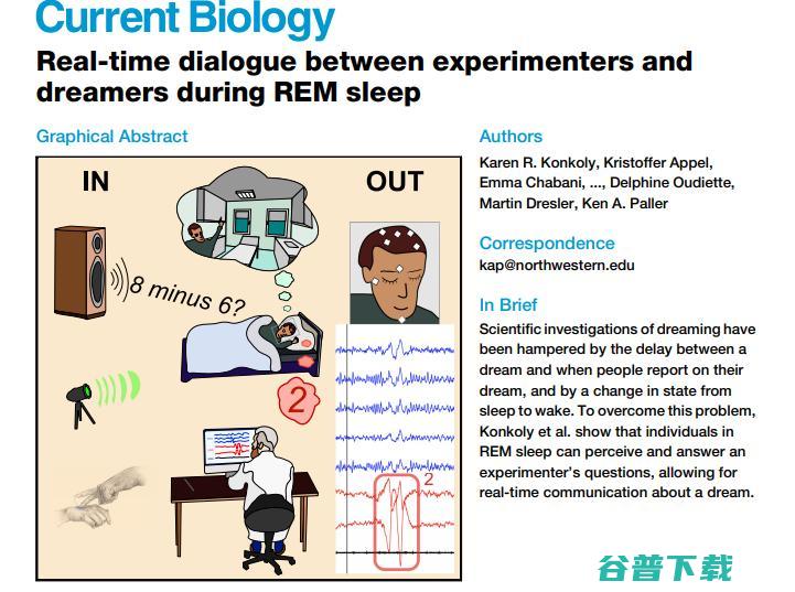 问了 158 个问题后，科学家首次发现做梦也能答对数学题