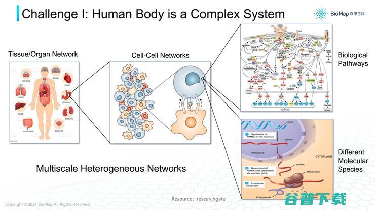 百图生科首席AI科学家：AI，帮助制药人逃逸“双十”怪圈