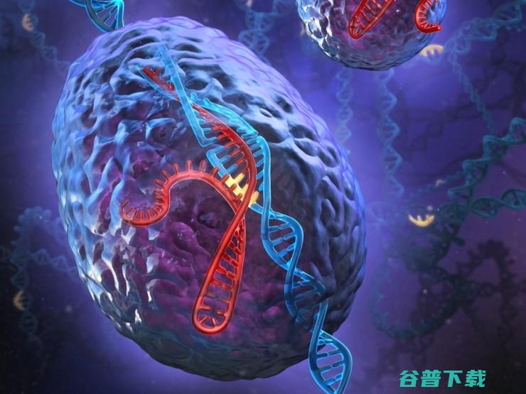 CRISPR专利战升温 事件主角被自家学生打脸 (crispr-cas9)