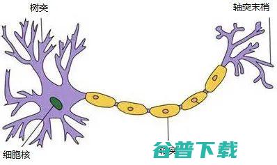 神经网络浅讲：从神经元到深度学习