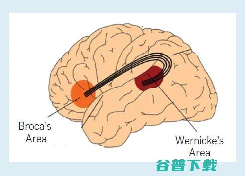 字节跳动 AI Lab 总监李航：语言模型的过去、现在和未来