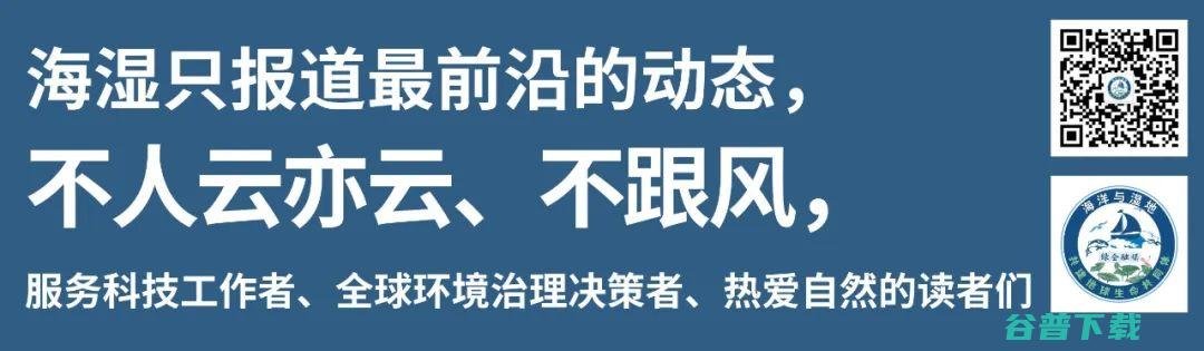 摸清北部湾的珊瑚家底从245种石珊瑚看生态多样