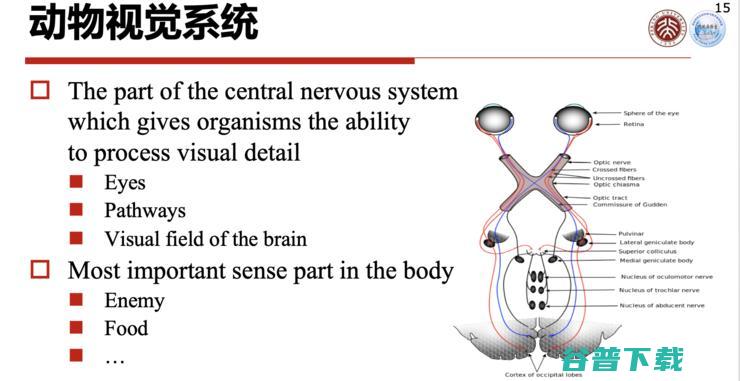 高文院士：城市大脑的「痛点」与「突破」丨CCF-GAIR 2020