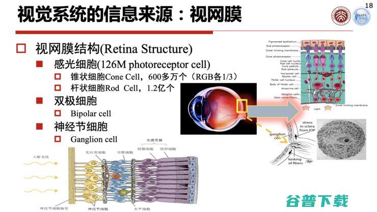 高文院士：城市大脑的「痛点」与「突破」丨CCF-GAIR 2020