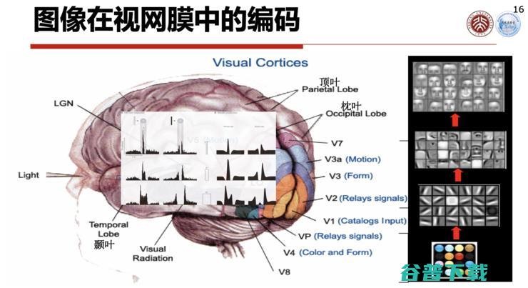 高文院士：城市大脑的「痛点」与「突破」丨CCF-GAIR 2020