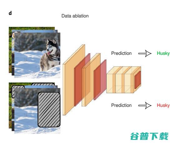 斯坦福李飞飞团队新研究登 Nature 子刊：实现可信 AI，数据的设计、完善、评估是关键