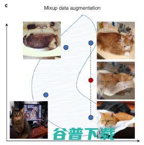 斯坦福李飞飞团队新研究登 Nature 子刊：实现可信 AI，数据的设计、完善、评估是关键