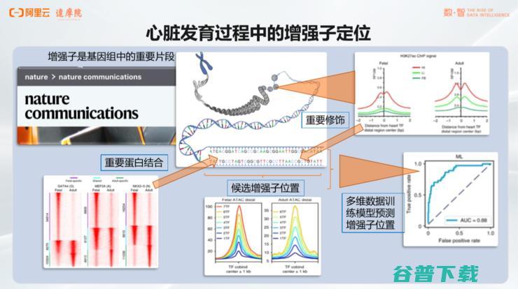 阿里达摩院「医疗AI」的战略全布局丨万字长文