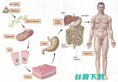 深度学习中的“深度”究竟怎么理解？