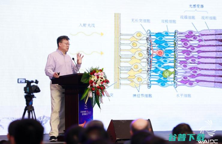 数字视网膜、自定义计算···山东的这个烧脑AI大会“涨姿势”