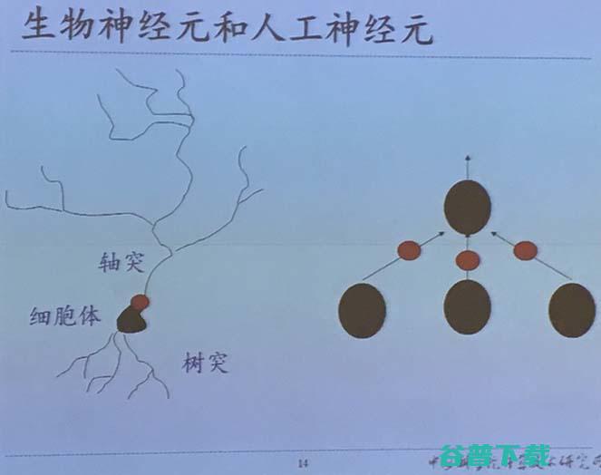 寒武纪研究院杜子东：寒武纪解决了AI处理器哪些问题？